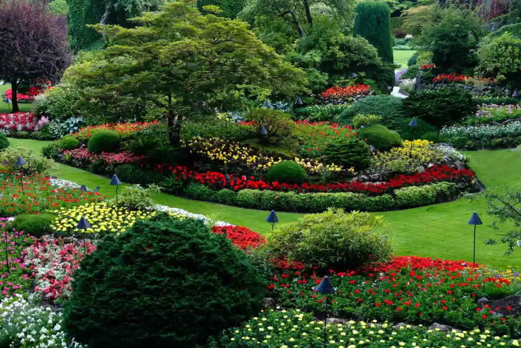 residential garden landscaping