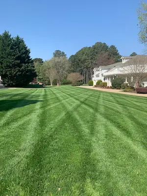 Commercial lawn care Wake Forest, NC