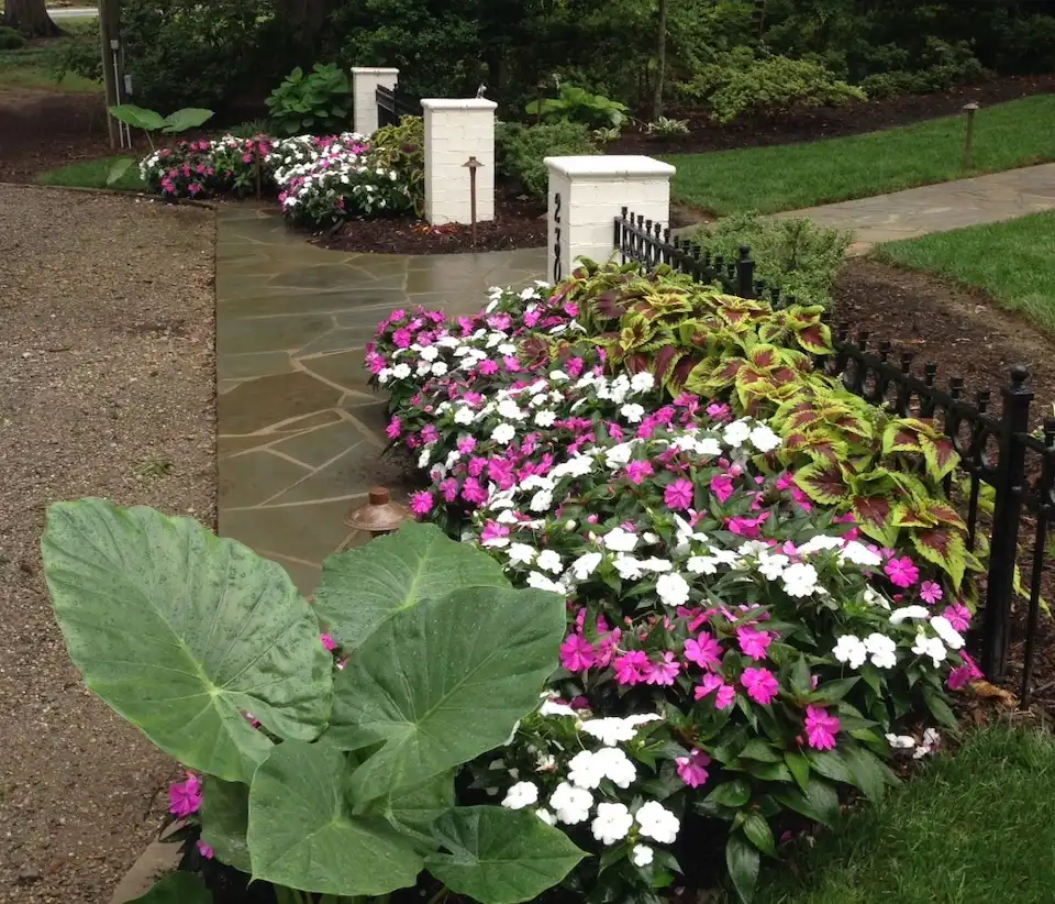 landscaping designs in wwake forest nc