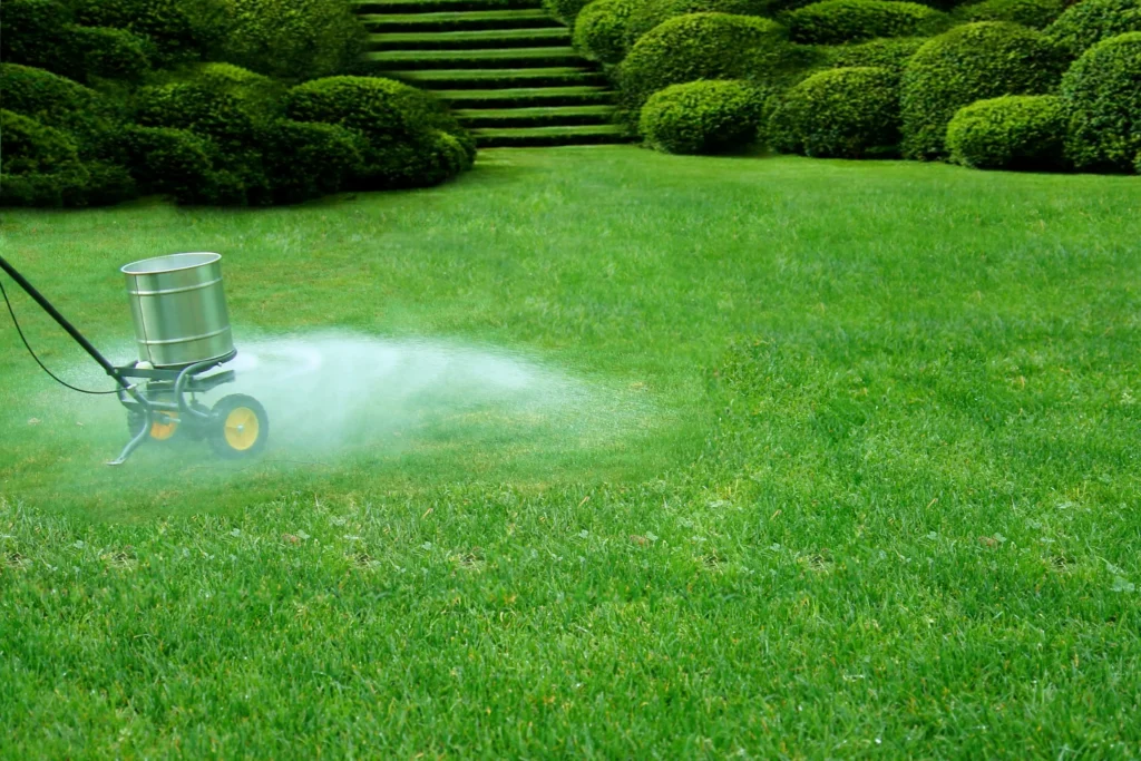When to apply lime for lawns