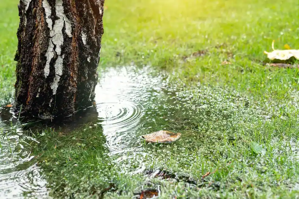 backyard drainage solutions for standing water
