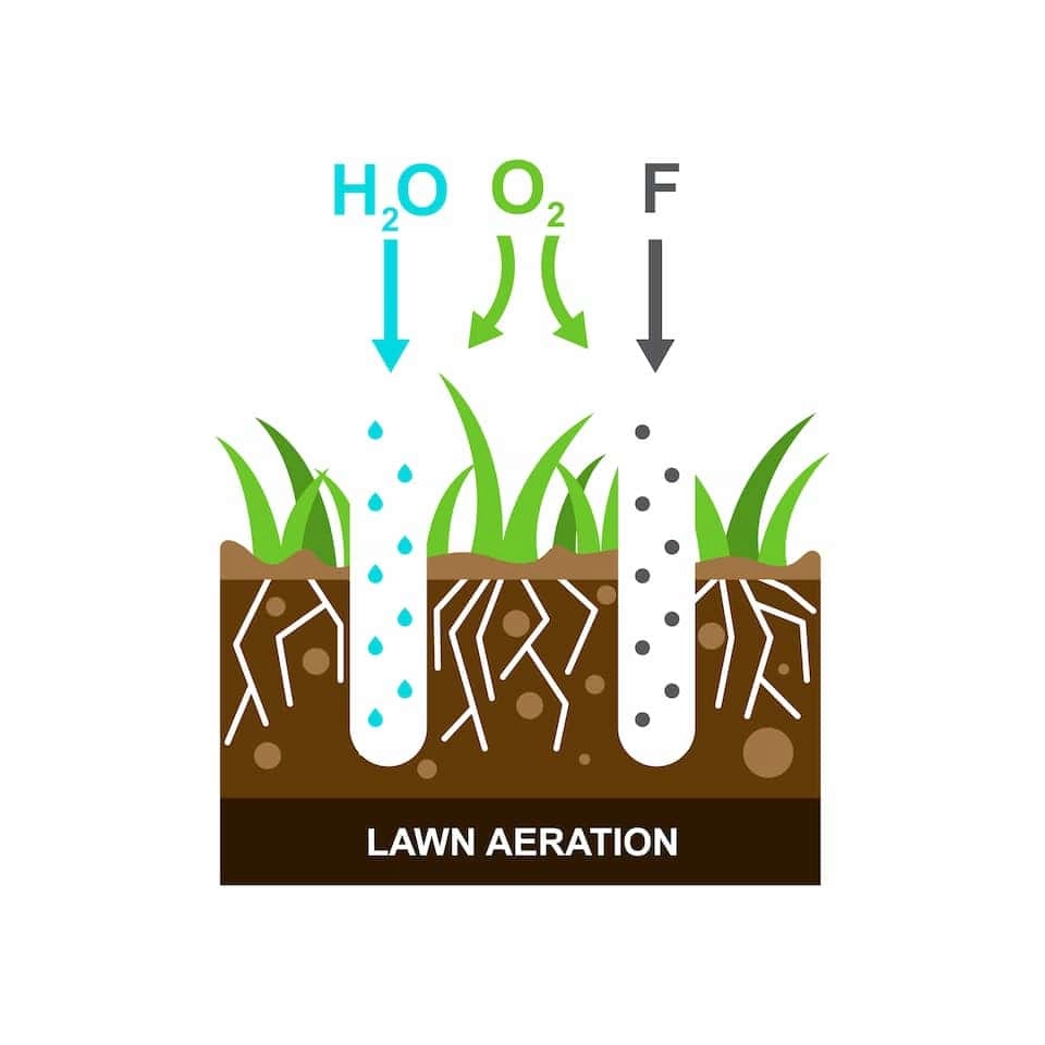 when to aerate lawn
