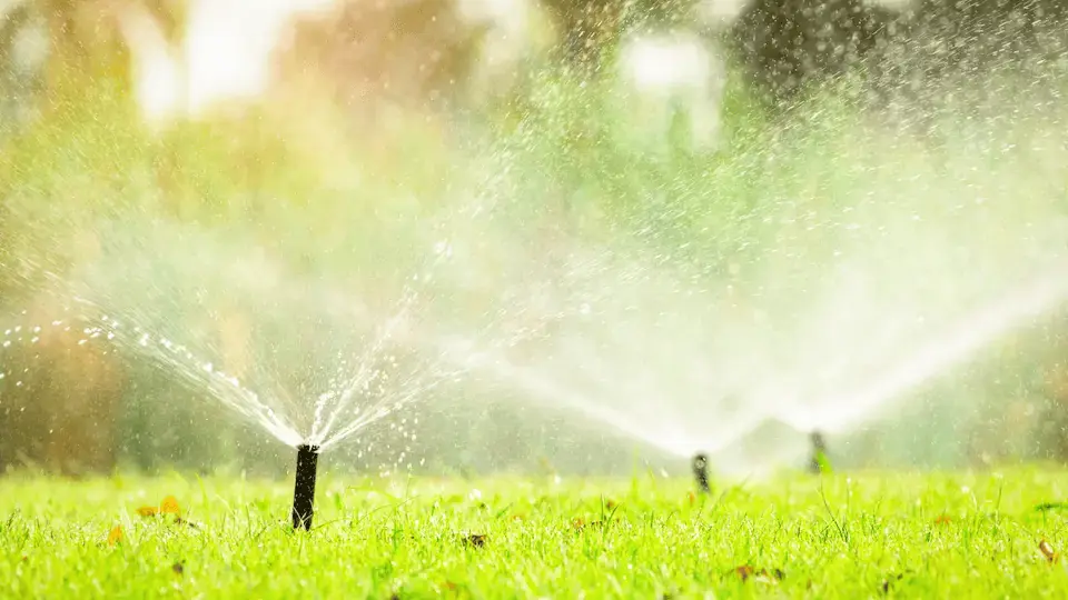 winterizing sprinkler heads with air compressor and backflow isolation valves
