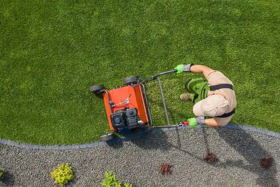 Benefits of Aerating Your Lawn