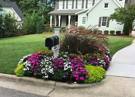 A well-maintained, vibrant lawn in Wake Forest, showcasing quality lawn maintenance.