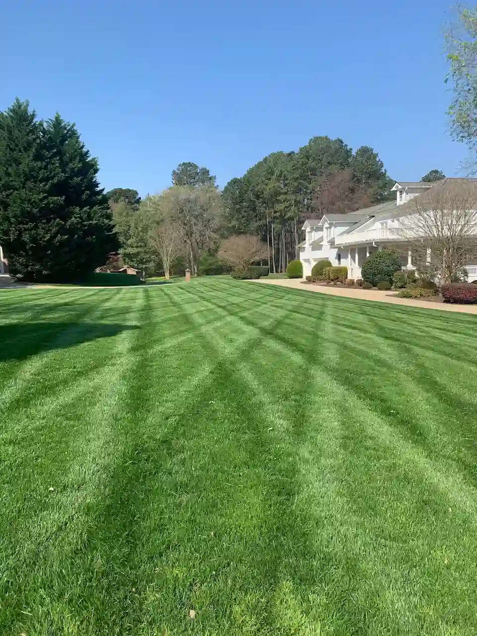 Lawn mowing lawn care services in Wake Forest by Turf TitanZ