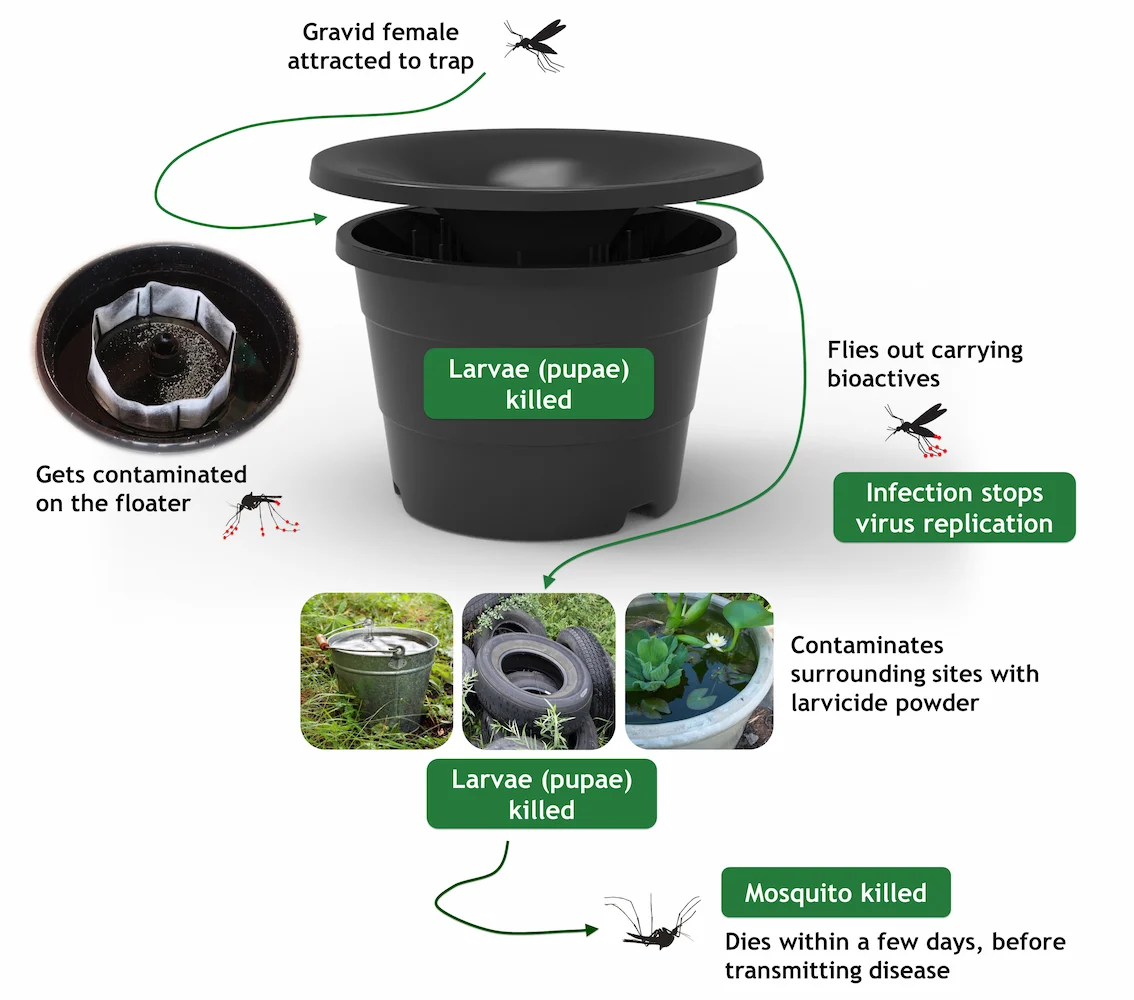 mosquito control - in2care method explained