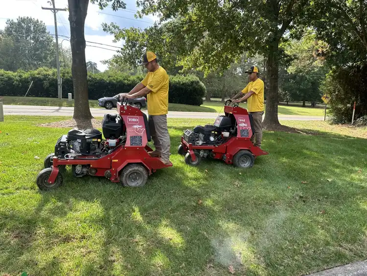 fall lawn care