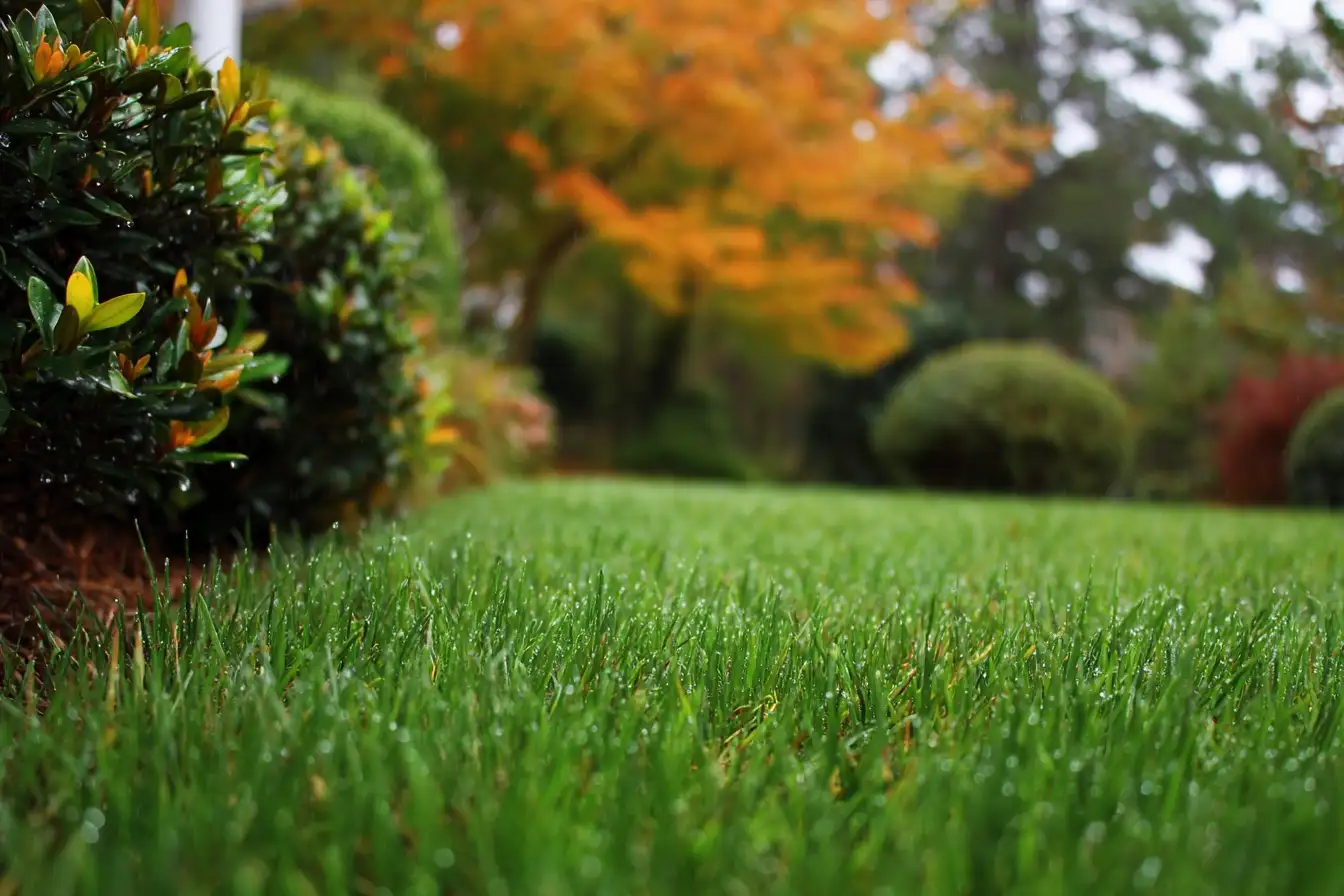 residential landscaping contractor in wake forest