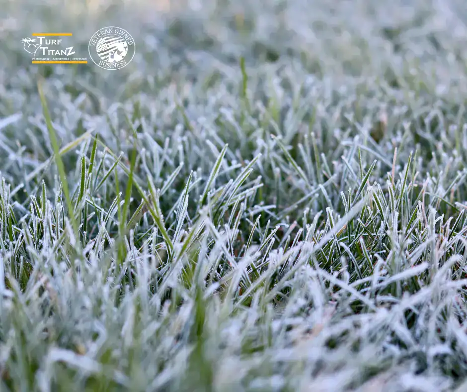 preparing your lawn for winter