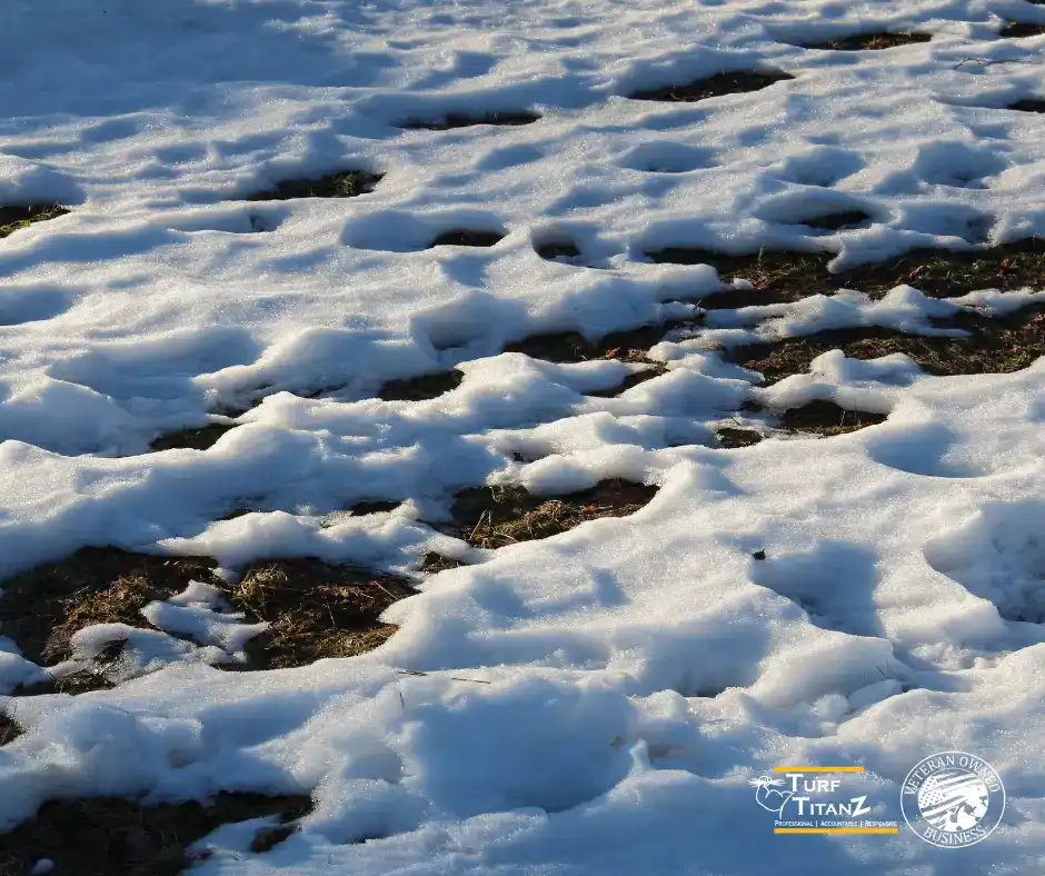 using warm season lawns for winter prep