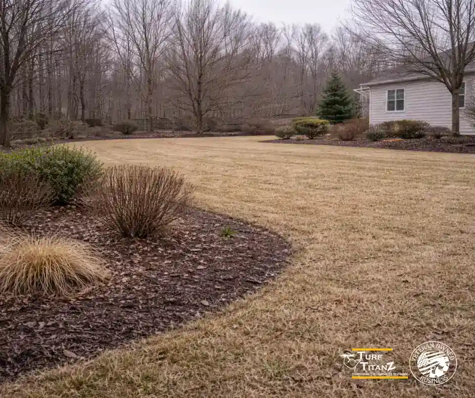 a winter lawn in nc