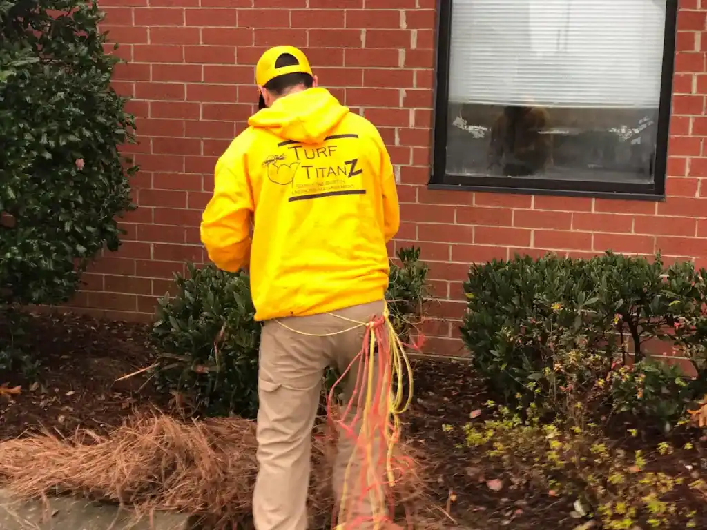 anniversary spring lawn care special