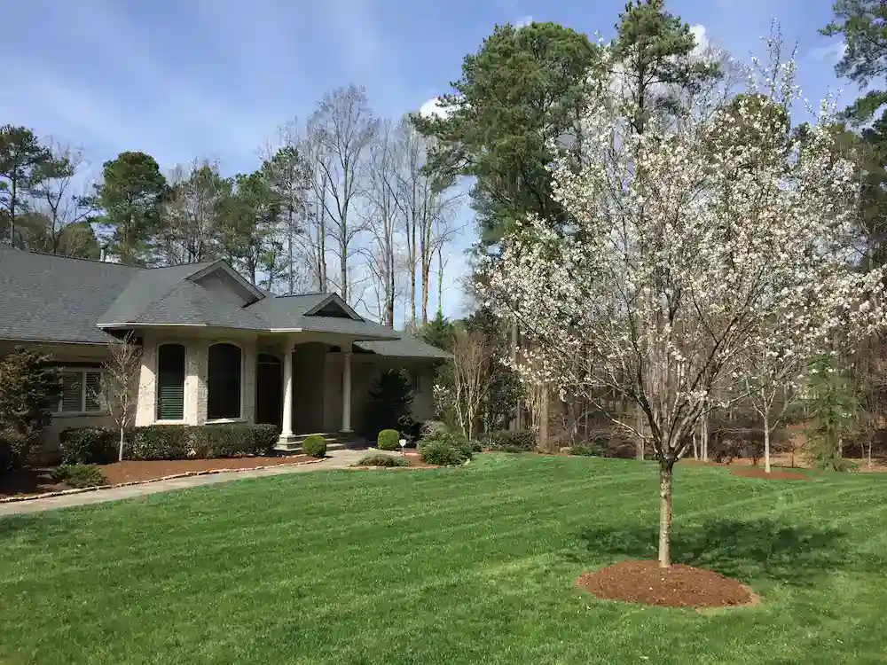 customized lawn care in spring