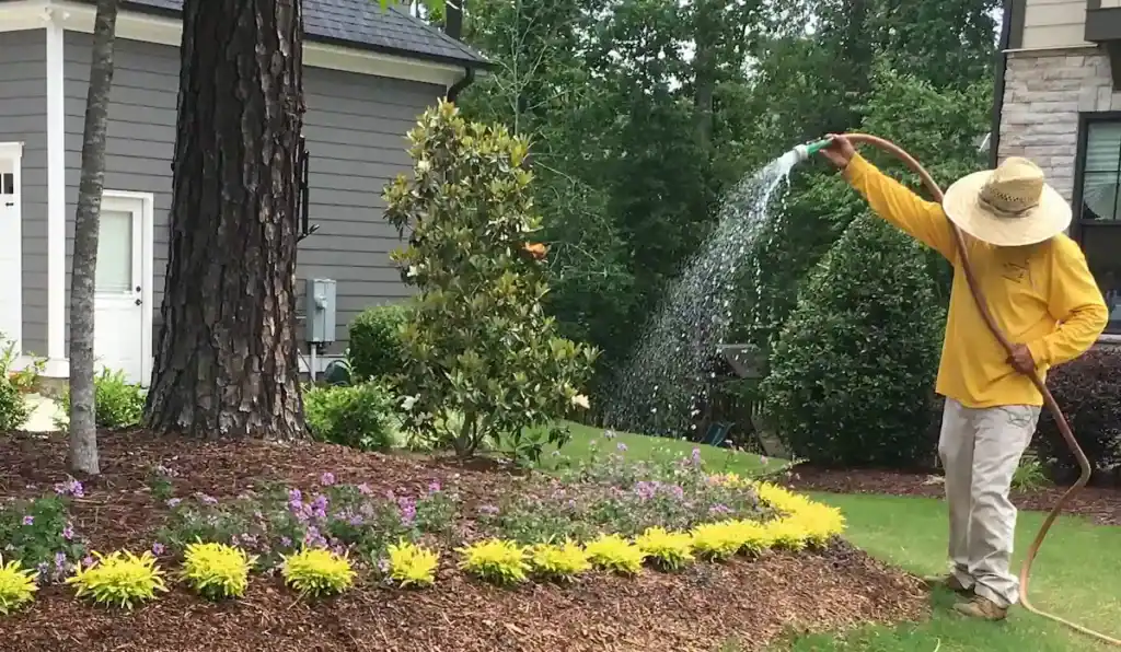 Turf TitanZ reviews for Wake Forest, NC