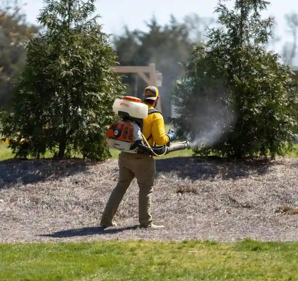 HOA landscaping in wake forest