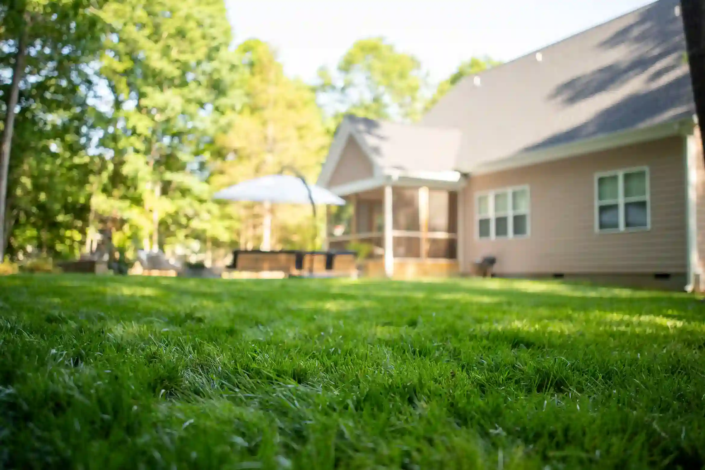 Healthy residential lawn supported by new sod watering services in Wake Forest