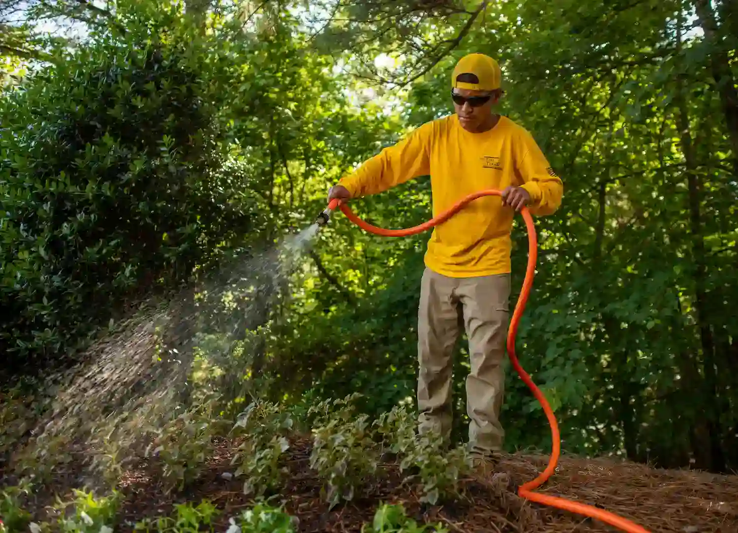 Turf TitanZ team member hand watering shrubs and landscape plants in Wake Forest