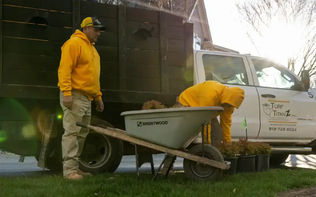 Turf TitanZ landscaping crew preparing plants for installation